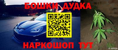 прущие крисы Лесосибирск