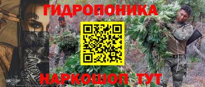 прущие крисы Лесосибирск