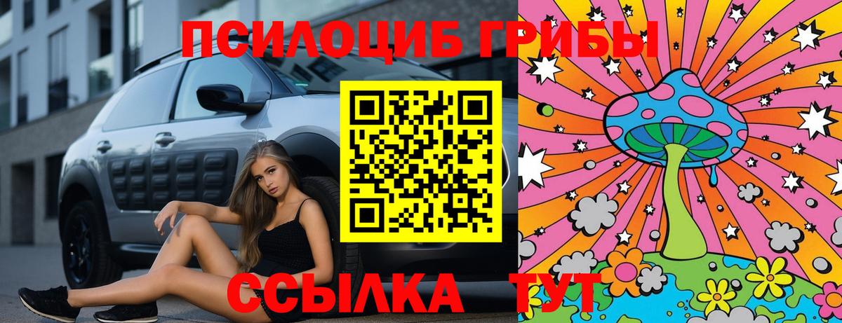 Псилоцибиновые грибы мухоморы Гурьевск