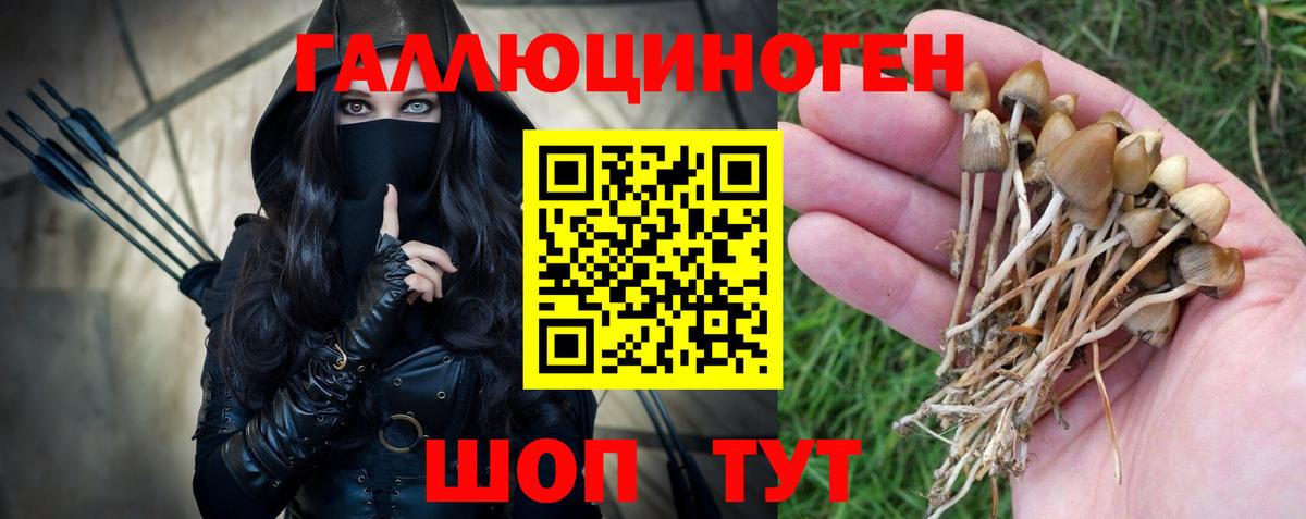 Галлюциногенные грибы Magic Shrooms  Вход с VPN  Гурьевск 